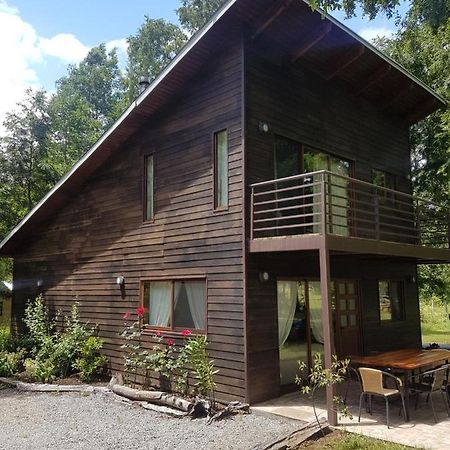 Cabanas Alto Bosque 푸콘 외부 사진